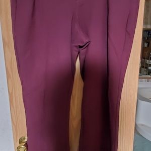 Torrid Studio Signature Stretch Premium Trouser